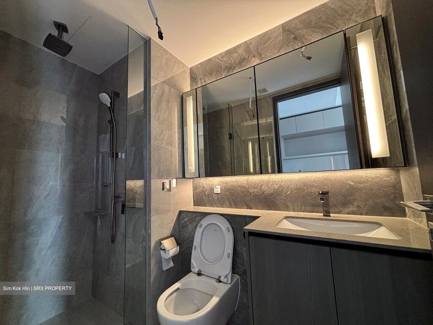 Piccadilly Grand (D8), Apartment #630291311